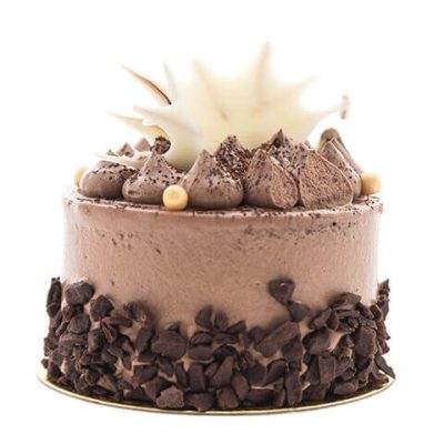 chocolate-cakes-isolated-white-background